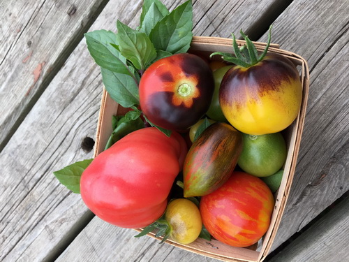 Cheznousfarms-2