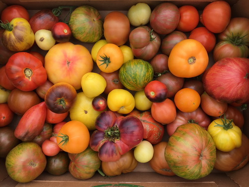 Cheznousfarms-3
