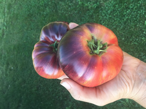 Cheznousfarms-4