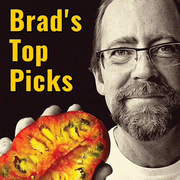 Brad's Top Picks, Old Fashioned Heirloom Tomatoes
