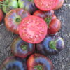 8 of Jess's Favorite Varieties Package - Image 4