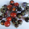 8 of Jess's Favorite Varieties Package - Image 5