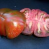 8 of Jess's Favorite Varieties Package - Image 7