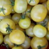 8 of Jess's Favorite Varieties Package - Image 8