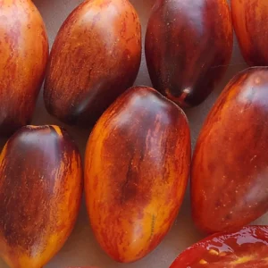 A close-up of several oblong tomatoes with dark red and orange streaks, surrounded by halved red cherry tomatoes showing seeds and juicy interiors.